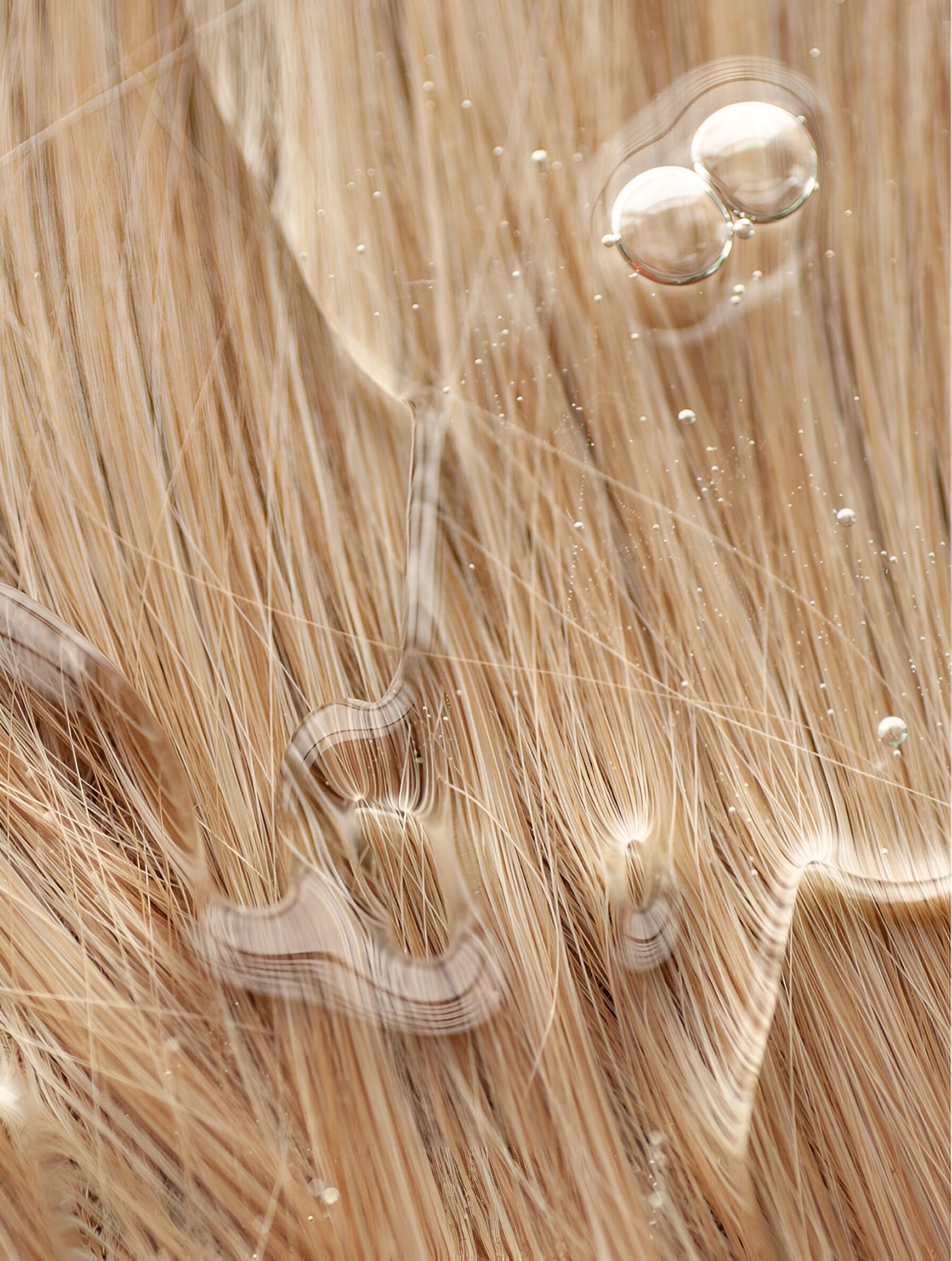 Shampoo • Woods