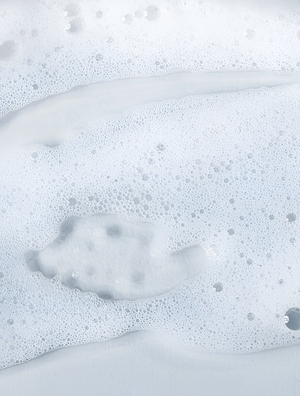 Body Wash • Cardamom