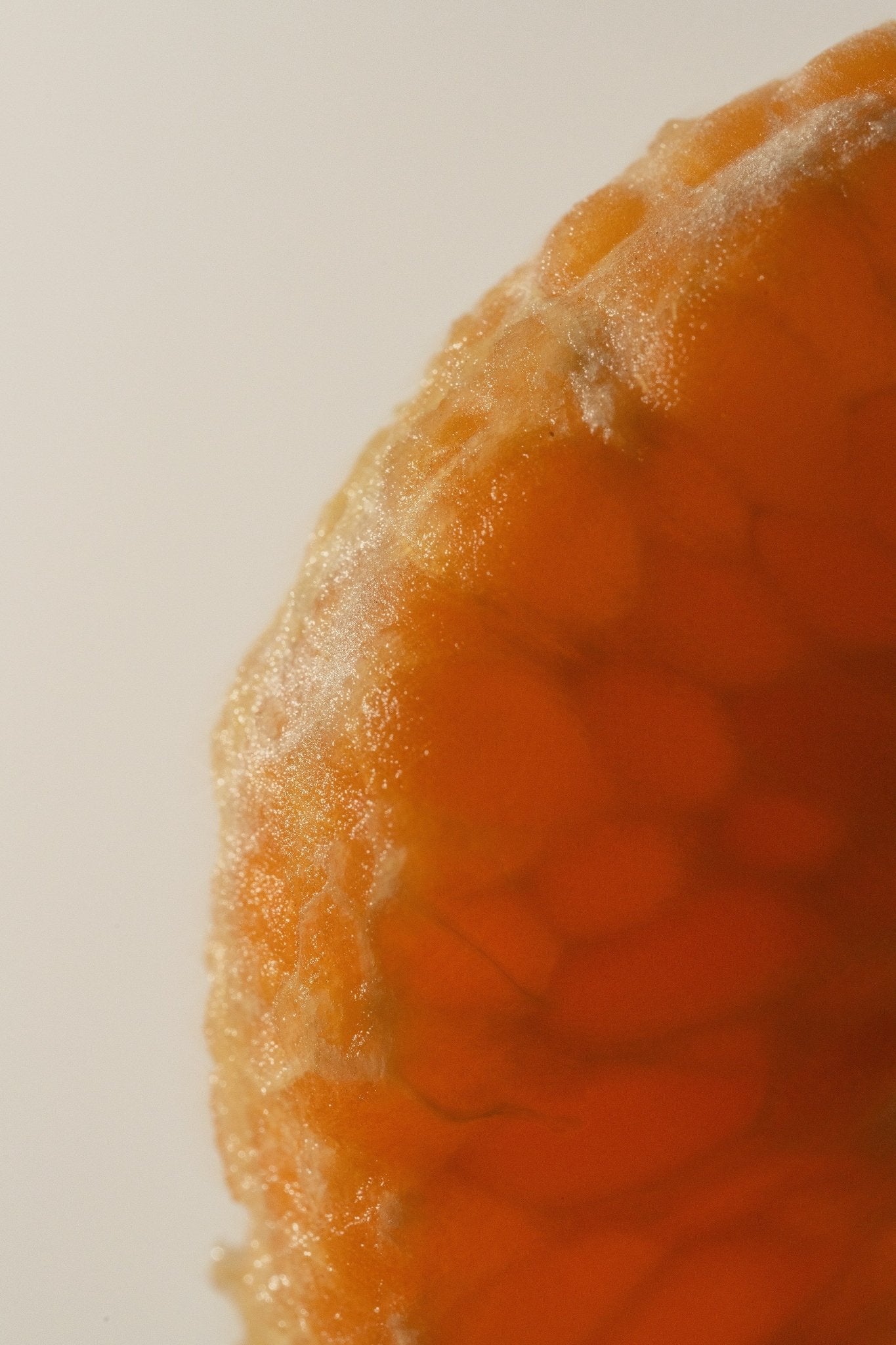 GLOZEM - Vitamin C Serum